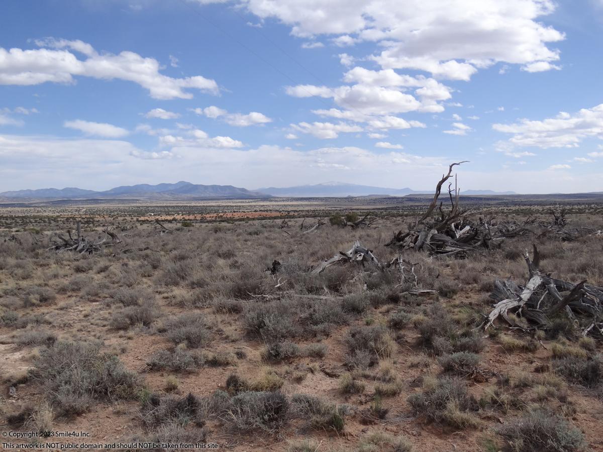 50 Acres land for sale in Carrizozo, NM by Ruidoso about 2.5 hours SE